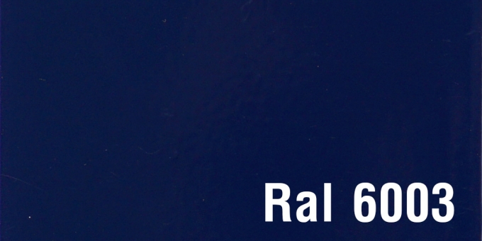 Ral 6003